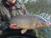 stait-lake-survey-019-d974c6549c54dd510c4f5636d8420418cb319e86
