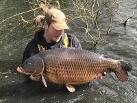 40lb 2oz  Franklins