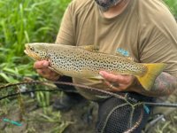 IMG_1358