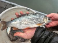 IMG_2035